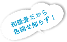 和紙畳だから色褪せ知らず